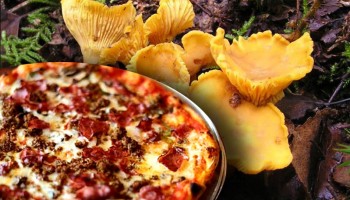 Pizza Forestière